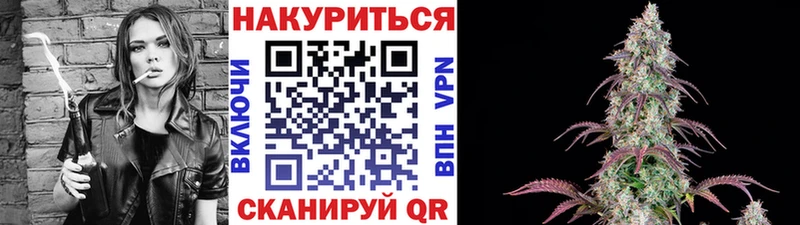 дарнет шоп  Мосальск  Бошки Шишки ГИДРОПОН 